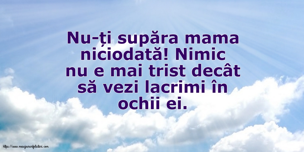 Familie Nu-ți supăra mama niciodată!