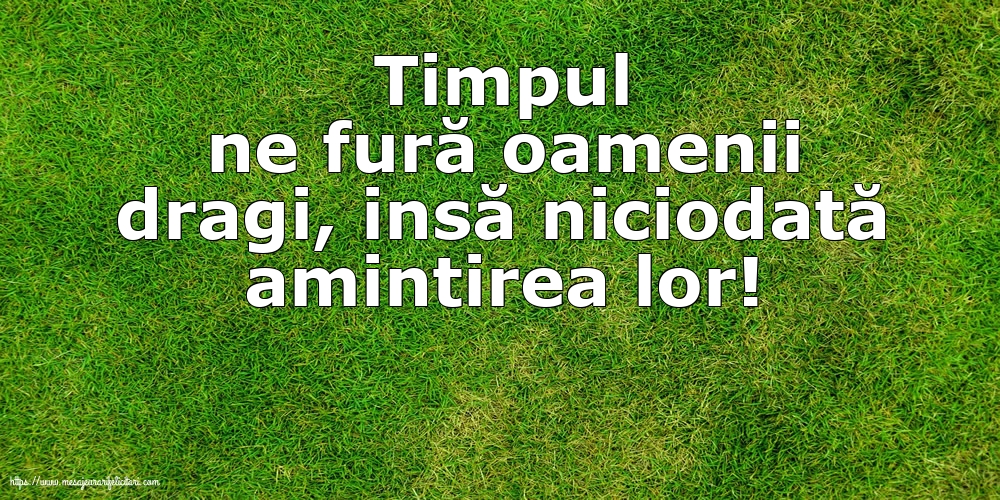 Familie Timpul ne fură oamenii dragi...