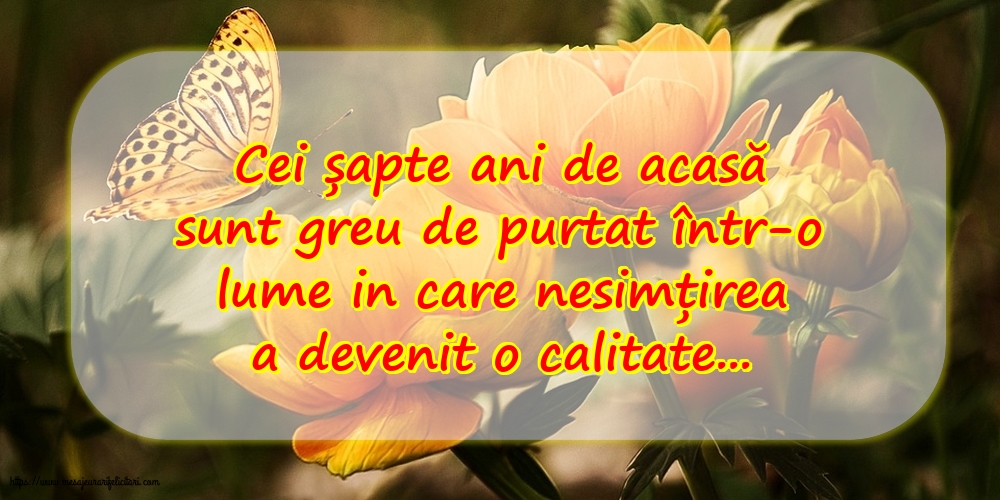 Familie Cei șapte ani de acasă