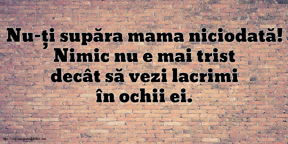 Familie Nu-ți supăra mama niciodată!