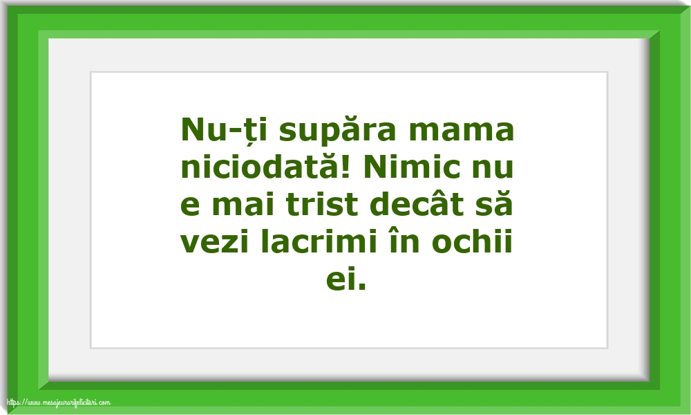 Familie Nu-ți supăra mama niciodată!