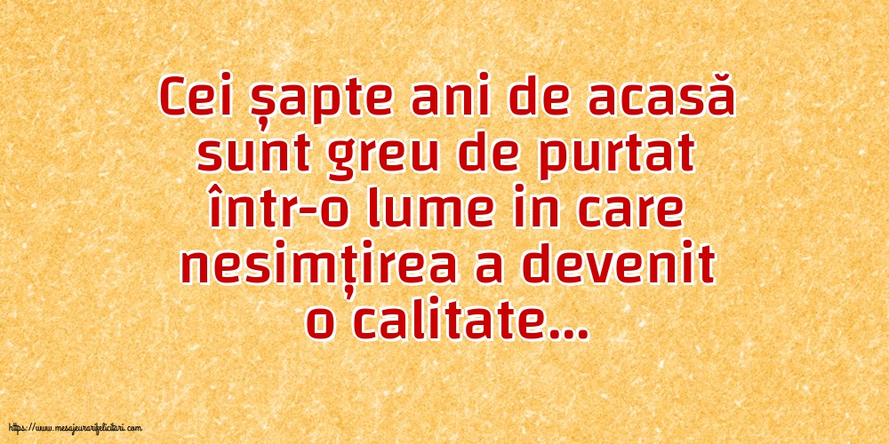 Familie Cei șapte ani de acasă