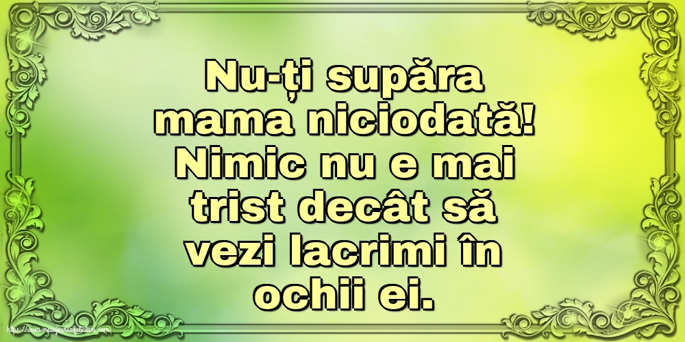 Familie Nu-ți supăra mama niciodată!