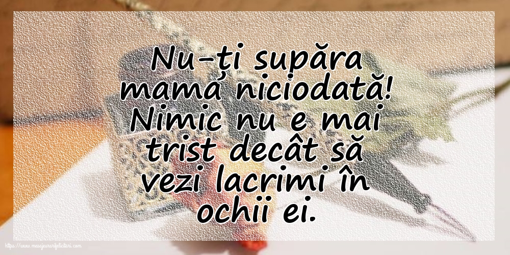 Familie Nu-ți supăra mama niciodată!