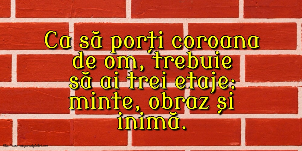 Familie Ca să porți coroana de om, trebuie să ai trei etaje: minte, obraz și inimă.