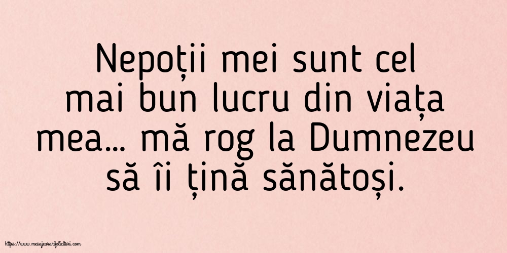 Familie Nepoții mei sunt cel mai bun lucru din viața mea…
