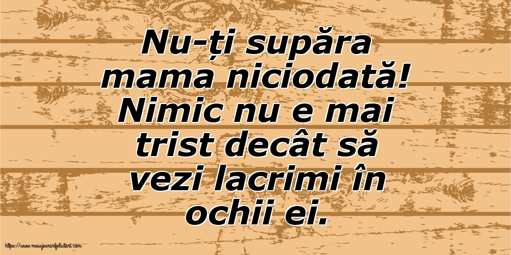 Familie Nu-ți supăra mama niciodată!