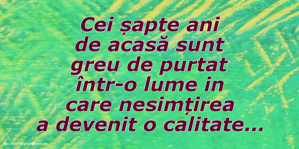 Familie Cei șapte ani de acasă