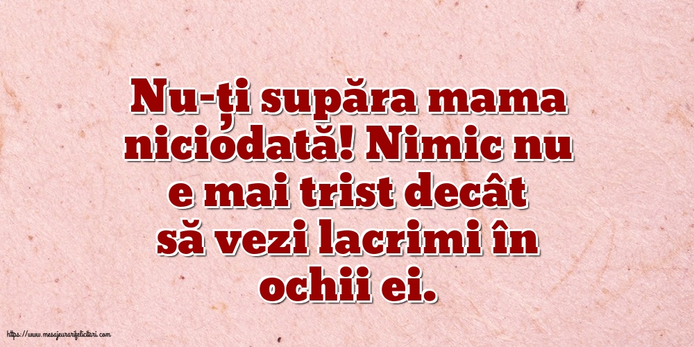 Familie Nu-ți supăra mama niciodată!