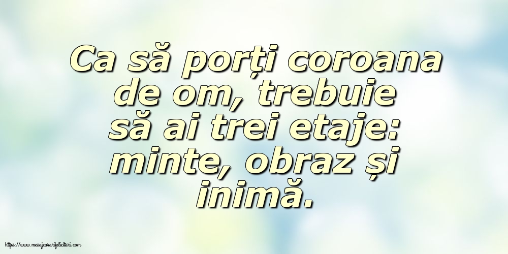 Familie Ca să porți coroana de om, trebuie să ai trei etaje: minte, obraz și inimă.