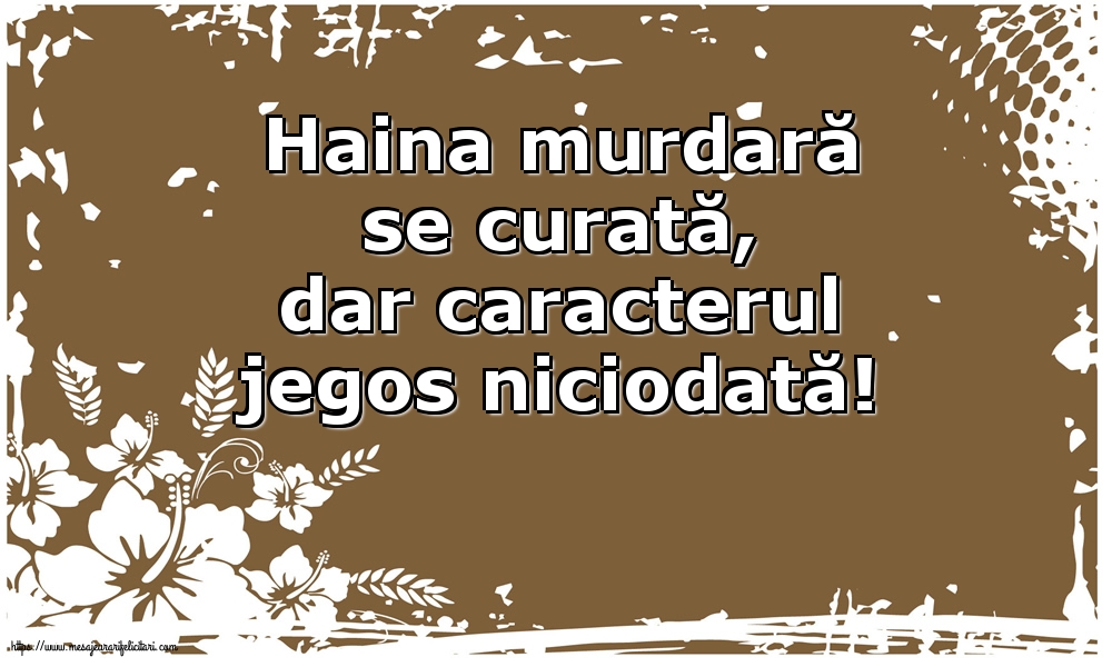 Familie Haina murdară se curată
