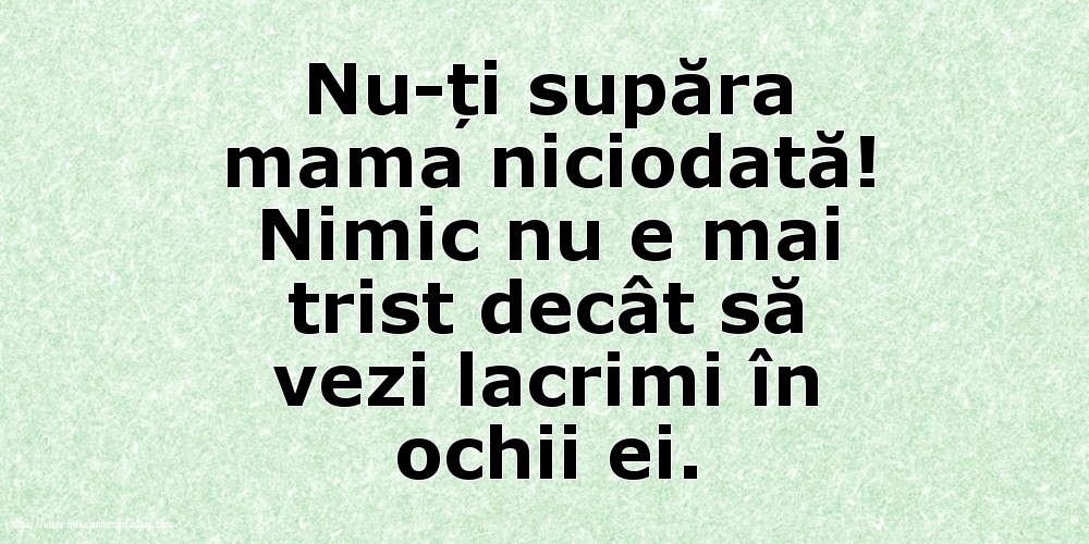 Familie Nu-ți supăra mama niciodată!
