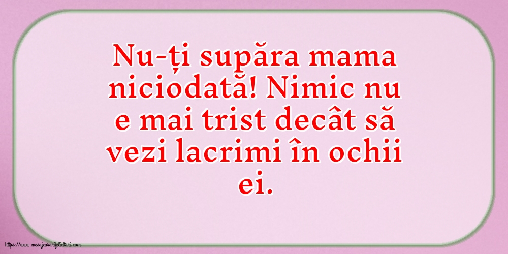 Familie Nu-ți supăra mama niciodată!