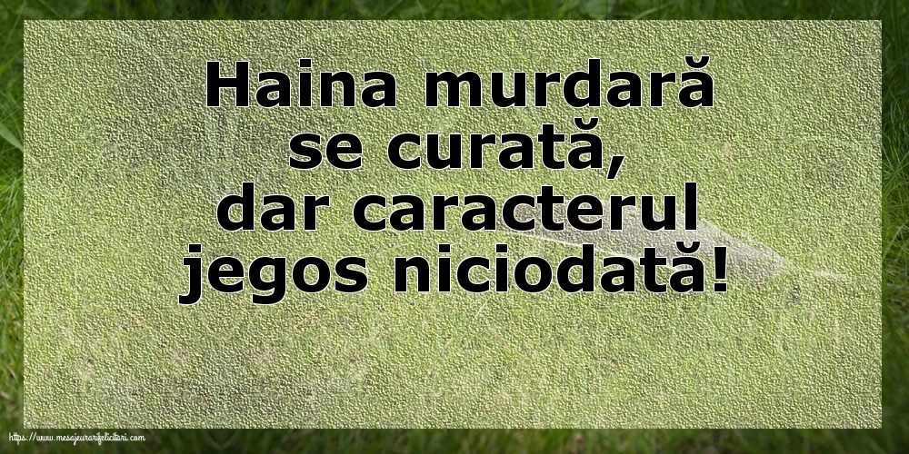 Familie Haina murdară se curată