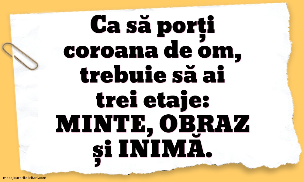 Ca să porți coroana de om, trebuie să ai trei etaje: minte, obraz și inimă.