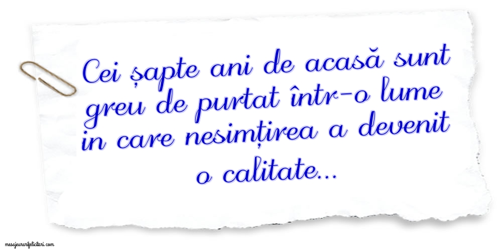 Cei șapte ani de acasă