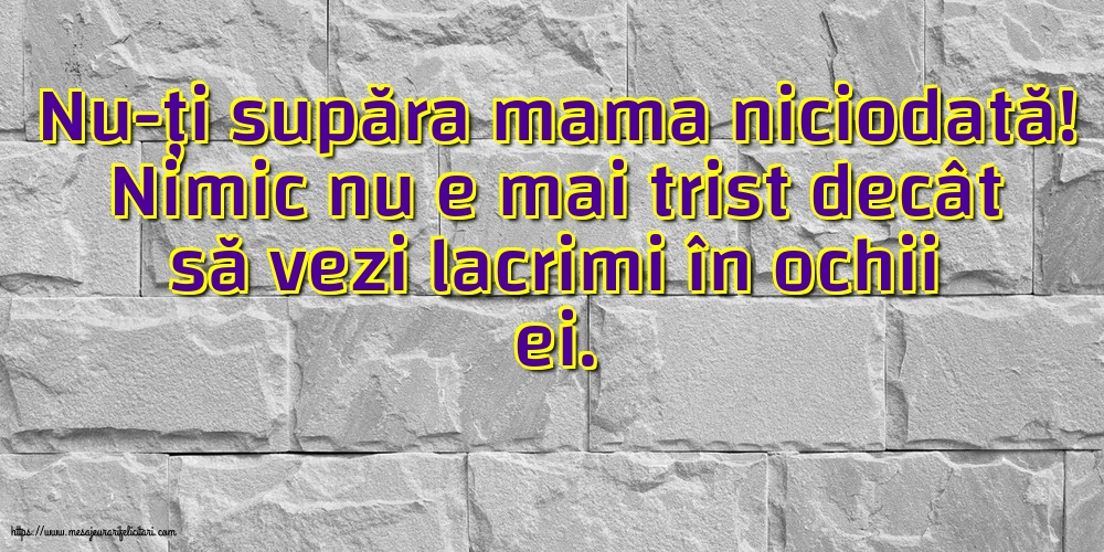 Familie Nu-ți supăra mama niciodată!