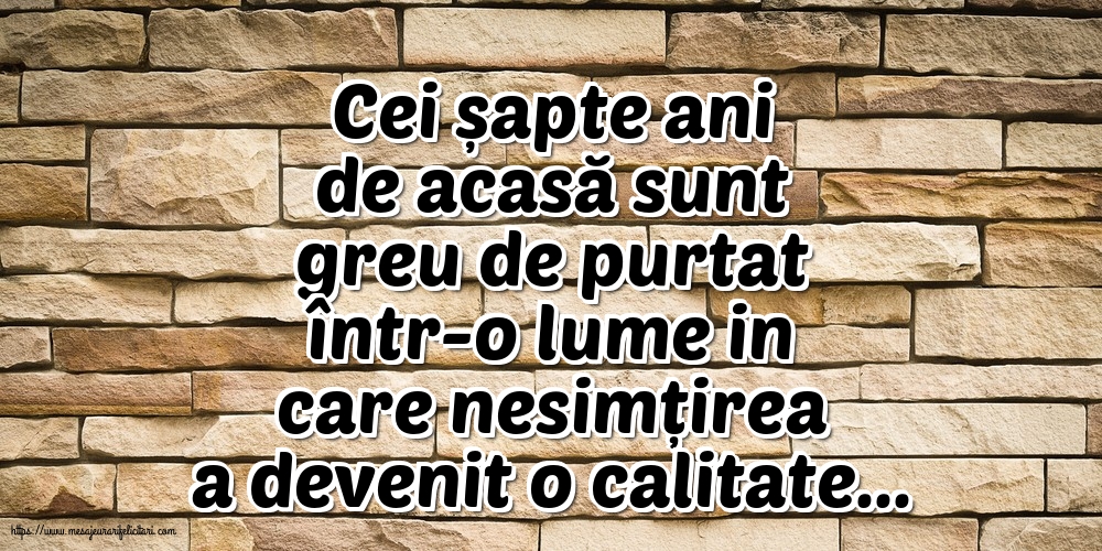Familie Cei șapte ani de acasă