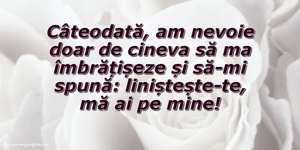 Familie Liniștește-te, mă ai pe mine!