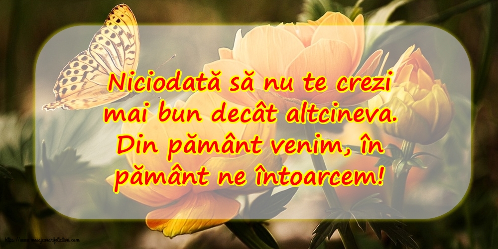 Familie Niciodată să nu te crezi mai bun decât altcineva