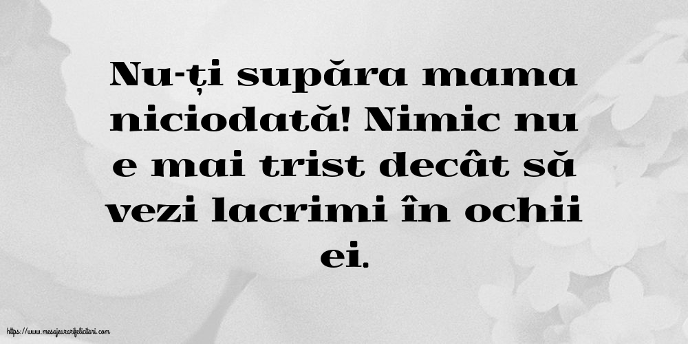 Familie Nu-ți supăra mama niciodată!