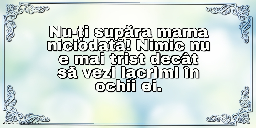 Familie Nu-ți supăra mama niciodată!