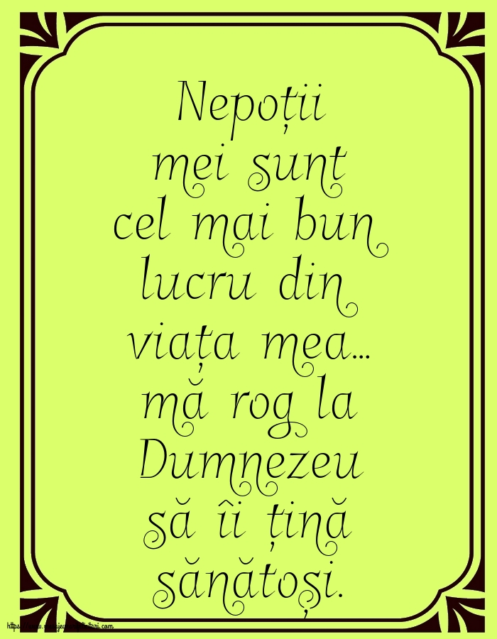Familie Nepoții mei sunt cel mai bun lucru din viața mea…