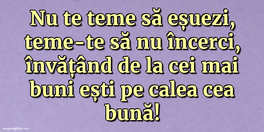 Imagini despre Familie - Nu te teme să eșuezi, teme-te să nu încerci! - mesajeurarifelicitari.com