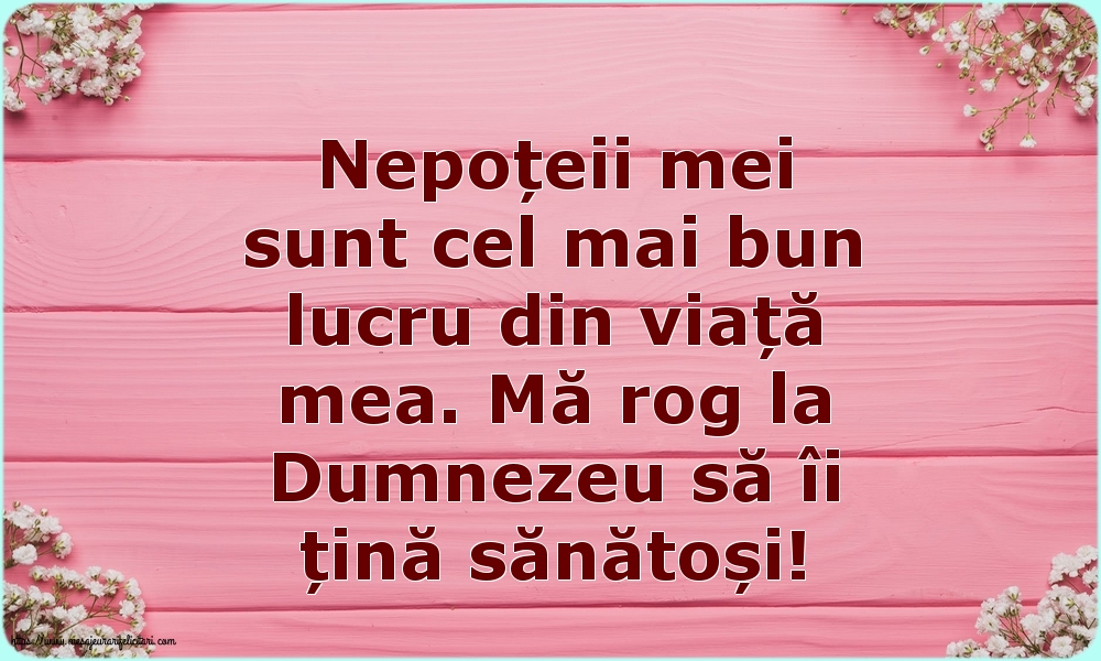 Familie Nepoțeii mei sunt cel mai bun lucru din viață mea