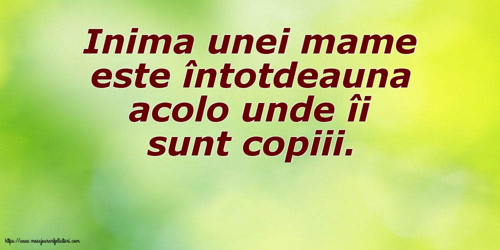 Familie Inima unei mame