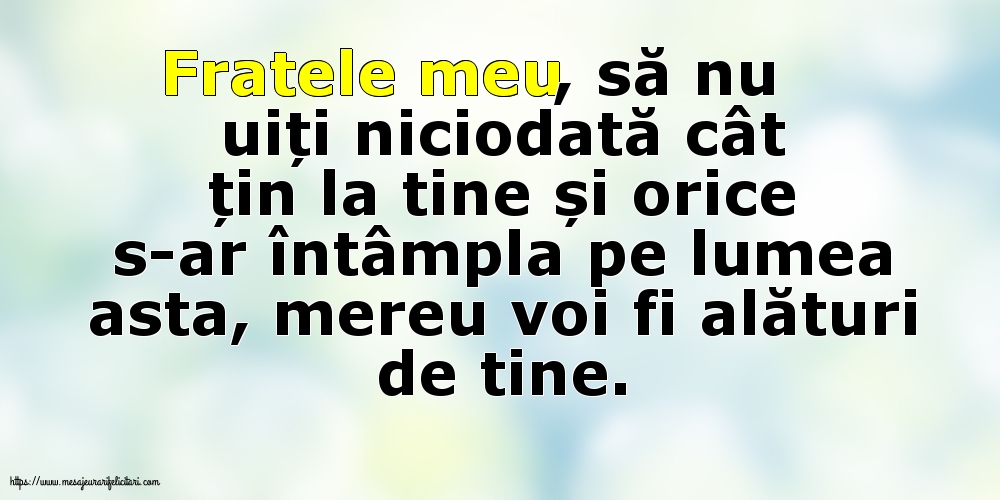 Familie Fratele meu, să nu uiți niciodată cât țin la tine!