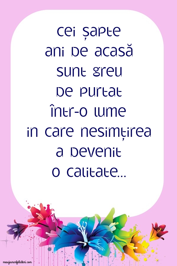 Cei șapte ani de acasă