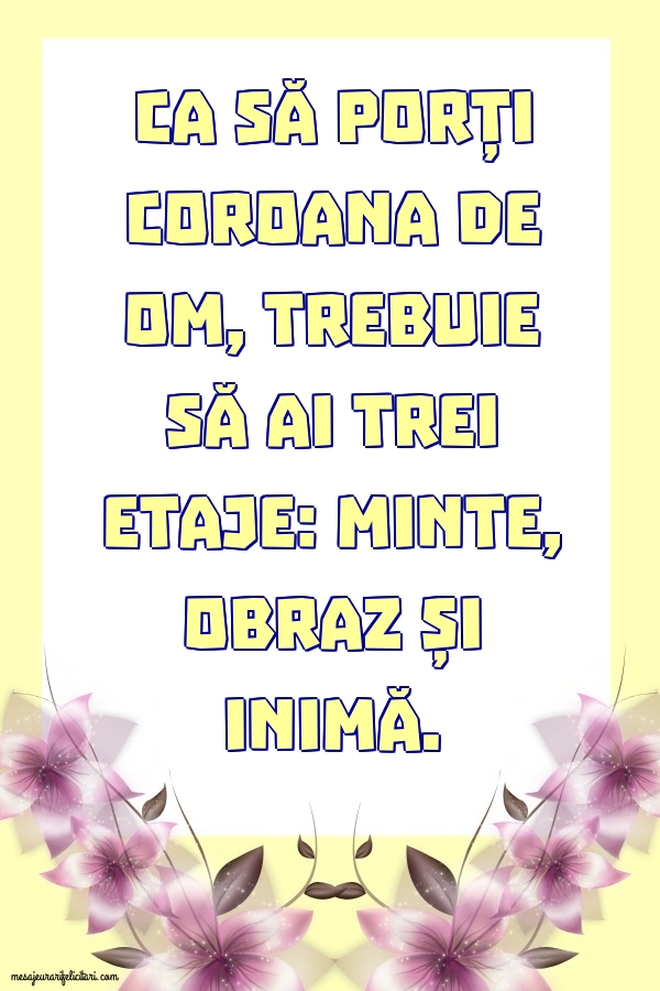 Ca să porți coroana de om, trebuie să ai trei etaje: minte, obraz și inimă.