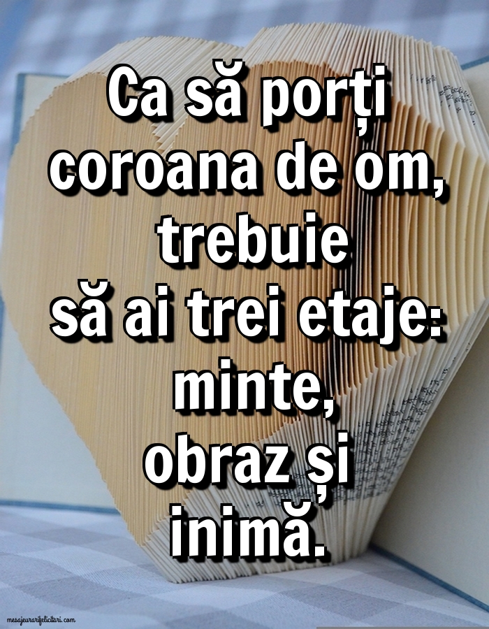 Ca să porți coroana de om, trebuie să ai trei etaje: minte, obraz și inimă.