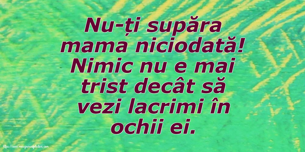 Familie Nu-ți supăra mama niciodată!