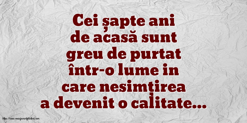 Cei șapte ani de acasă