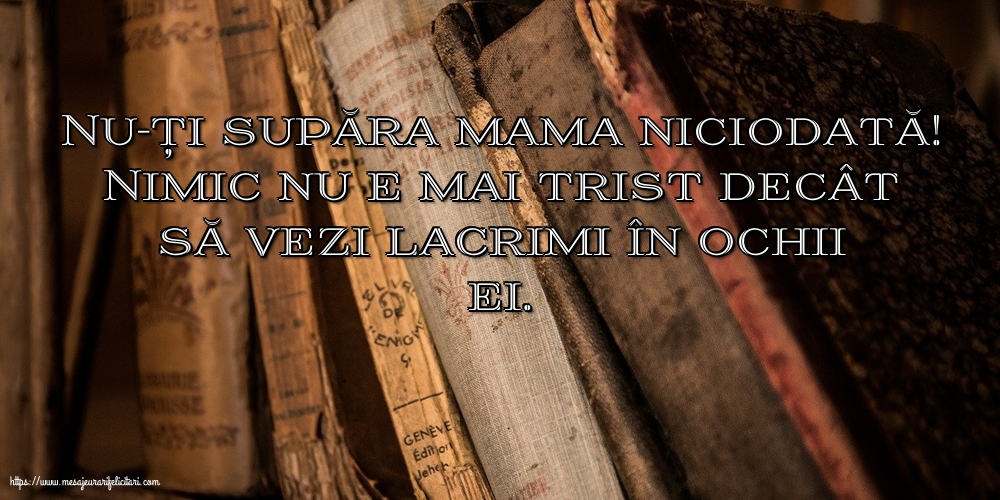 Familie Nu-ți supăra mama niciodată!