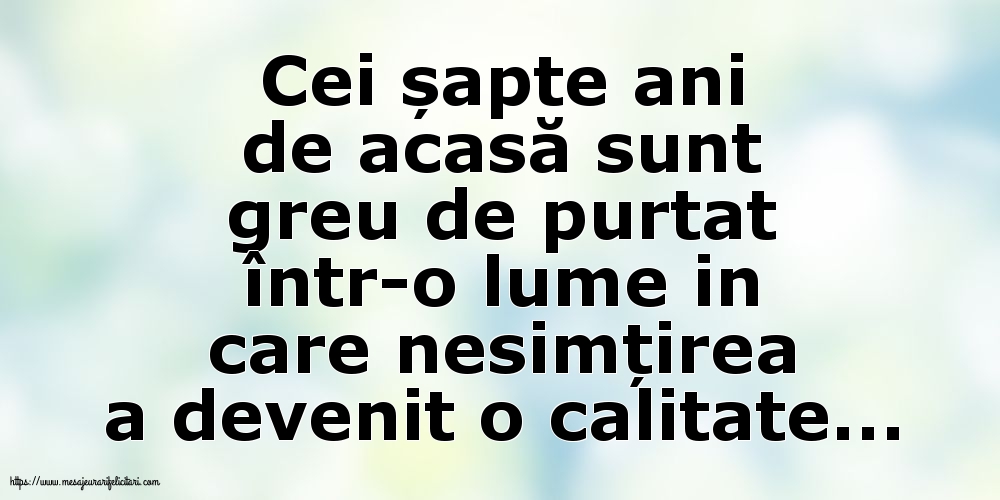 Cei șapte ani de acasă