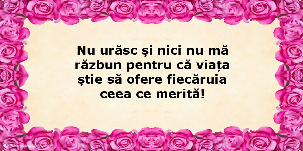 Nu urăsc și nici nu mă răzbun
