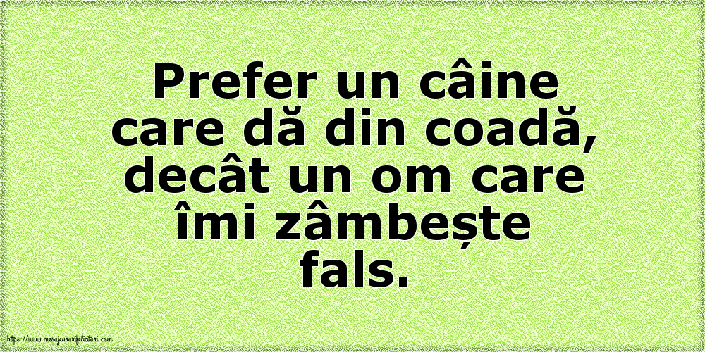 Prefer un câine care dă din coadă