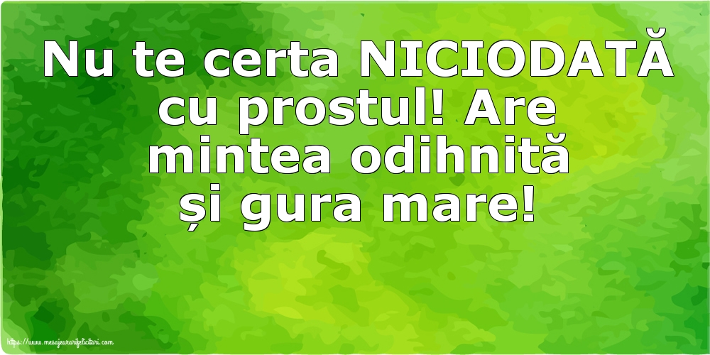Nu te certa NICIODATĂ cu prostul!