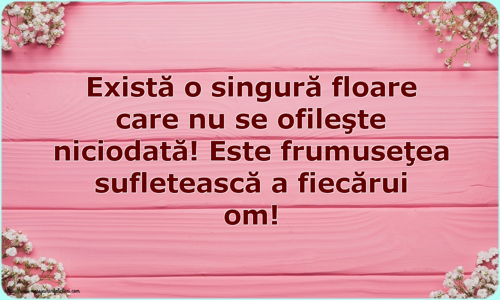 Familie Există o singură floare care nu se ofileşte niciodată