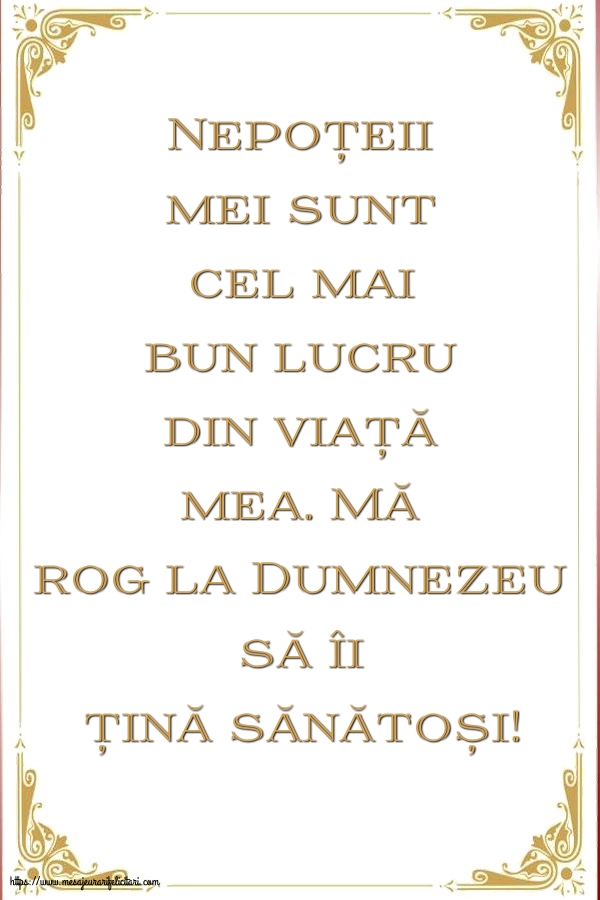 Familie Nepoțeii mei sunt cel mai bun lucru din viață mea