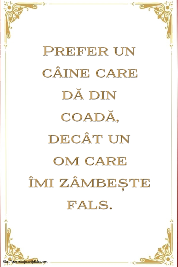 Prefer un câine care dă din coadă