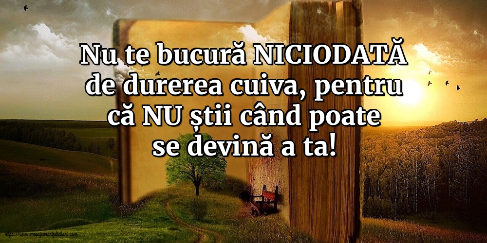 Nu te bucură