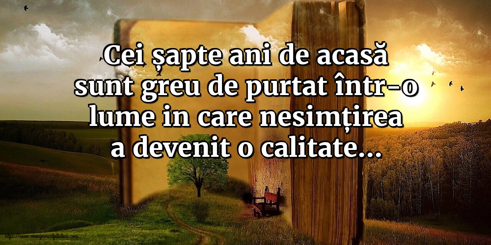 Cei șapte ani de acasă