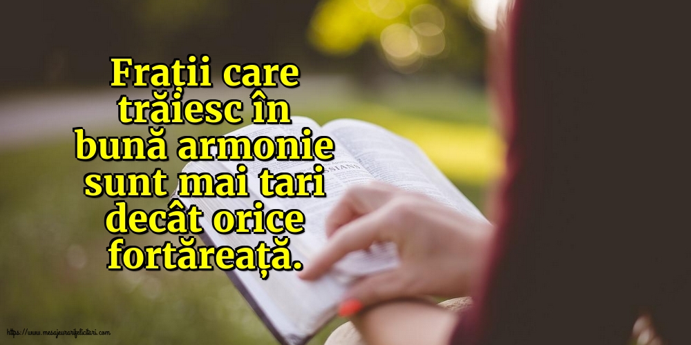 Frații care trăiesc în bună armonie sunt mai tari decât orice fortăreață