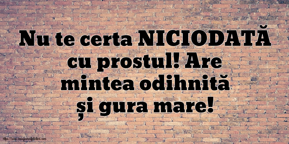 Nu te certa NICIODATĂ cu prostul!