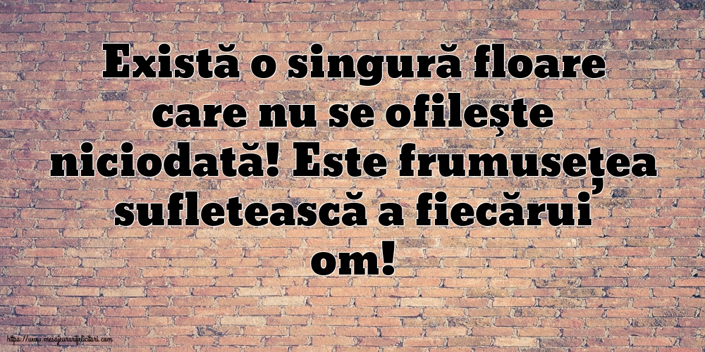 Există o singură floare care nu se ofileşte niciodată