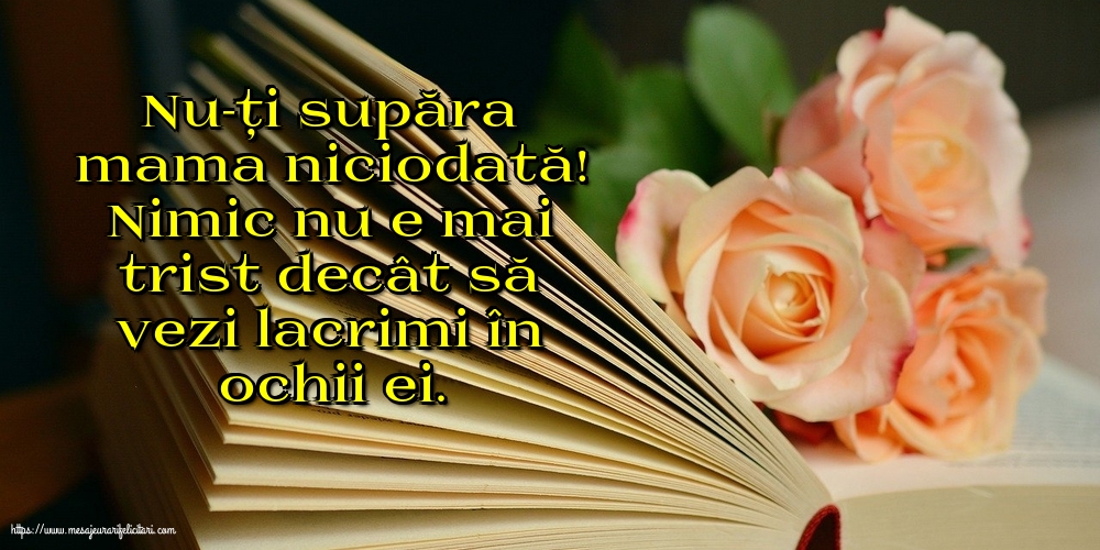 Nu-ți supăra mama niciodată!